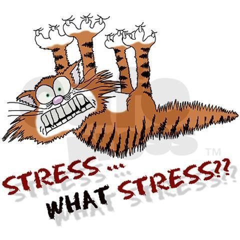 stressed cat artwork